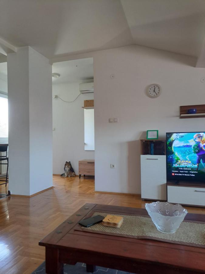 Apartman Zvezdica -Smederevo, Netflix 외부 사진