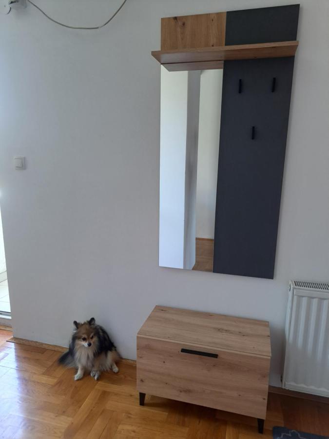 Apartman Zvezdica -Smederevo, Netflix 외부 사진